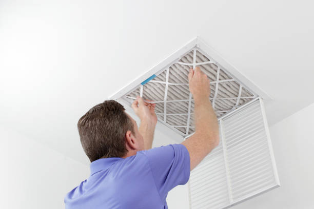 Best HVAC Air Duct Cleaning  in Inkster, MI